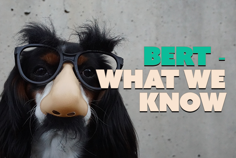 063. BERT – What we know (Tips)