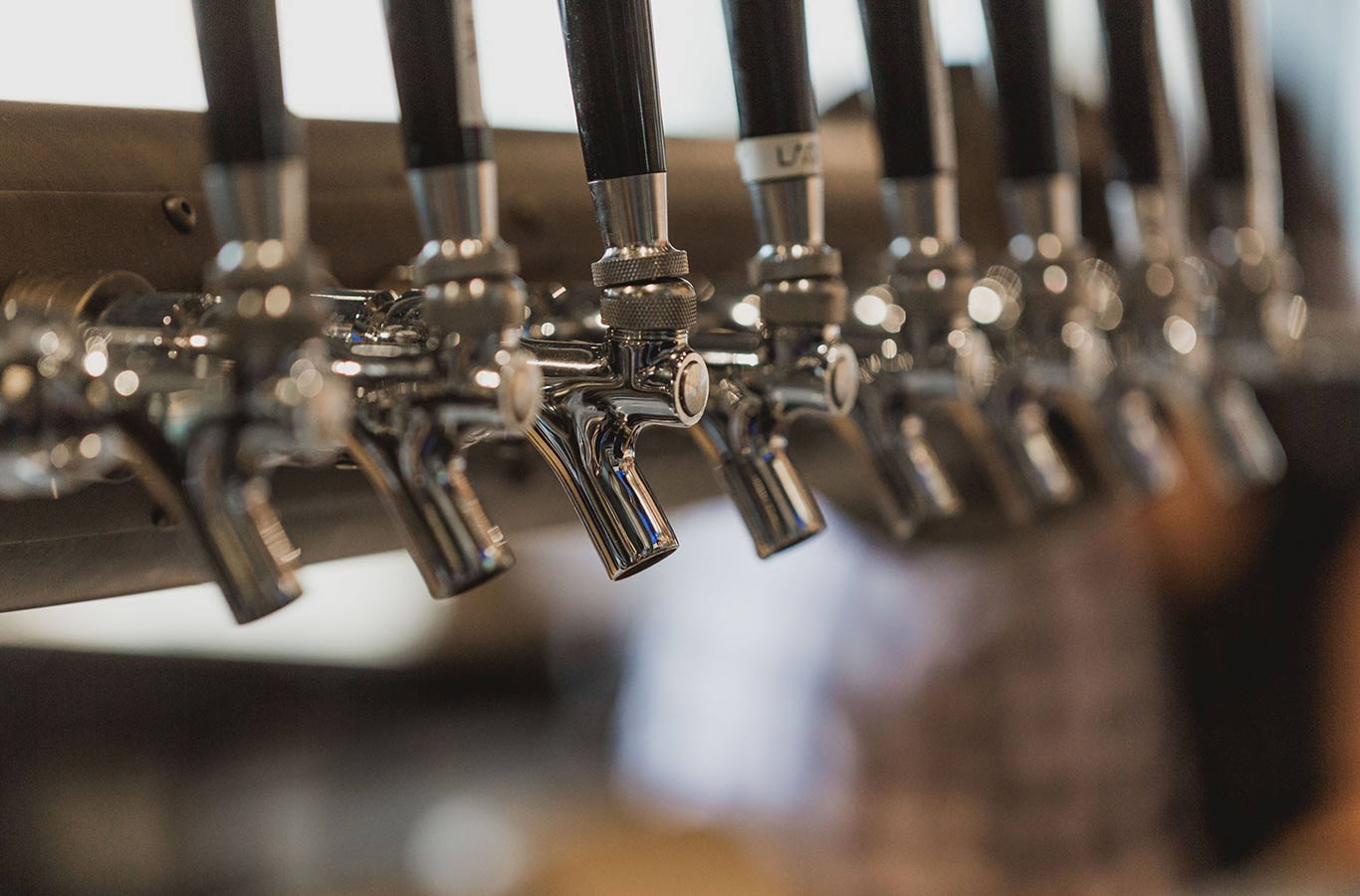 Beer Festival Photography