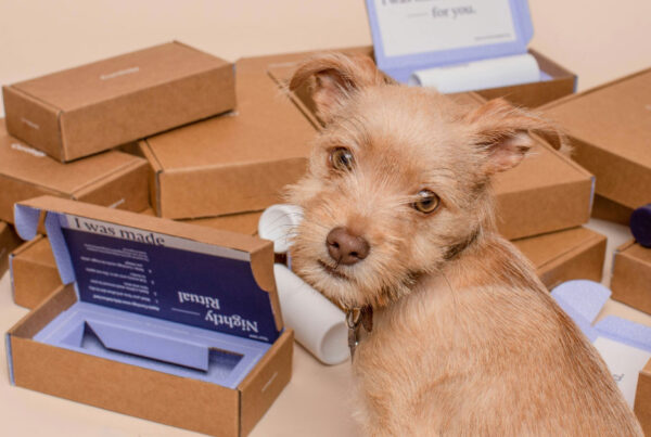 Starting your Subscription Box Brand