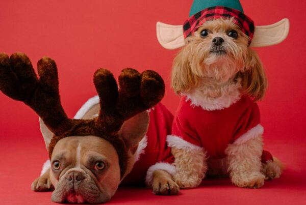 christmas-marketing-of-the-last-decade