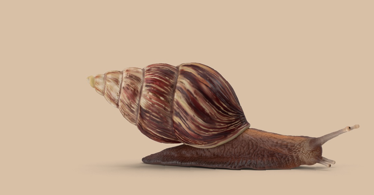 Tips for Improving Your Website Speed