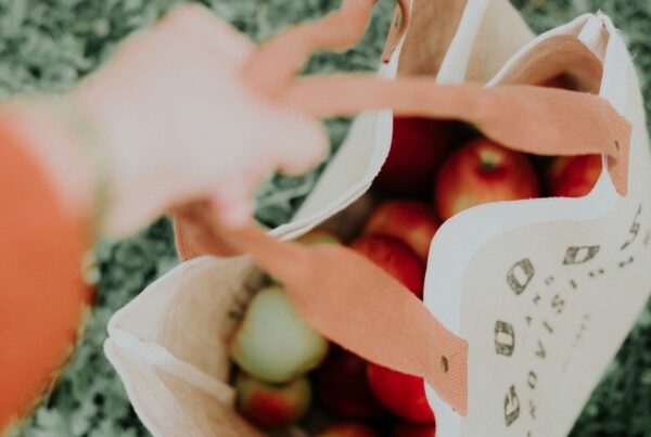 How to Create an Eco-Friendly Brand