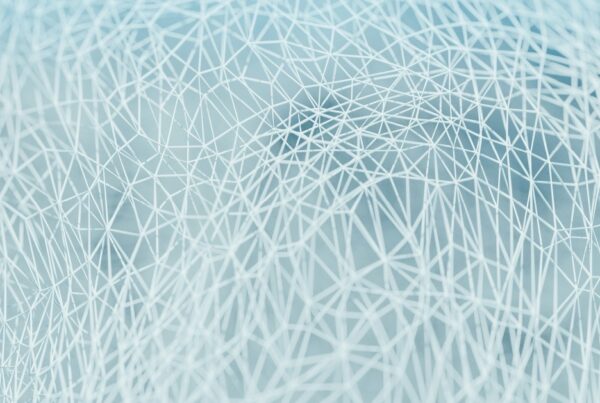 Paid and Organic Social Media