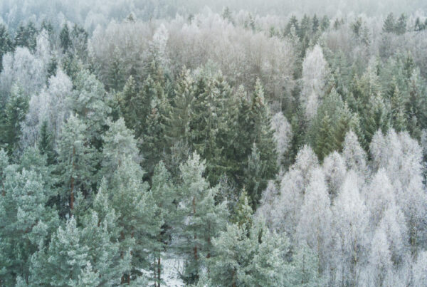 What's coming to Shopify this winter? Blog 380