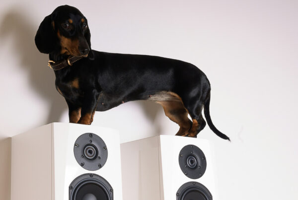 Blog 382 The Importance of Brand Voice