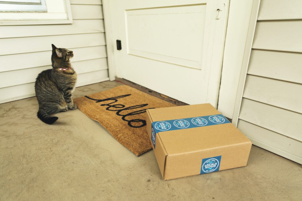 Parcel outside someone's door on doormat with a cat