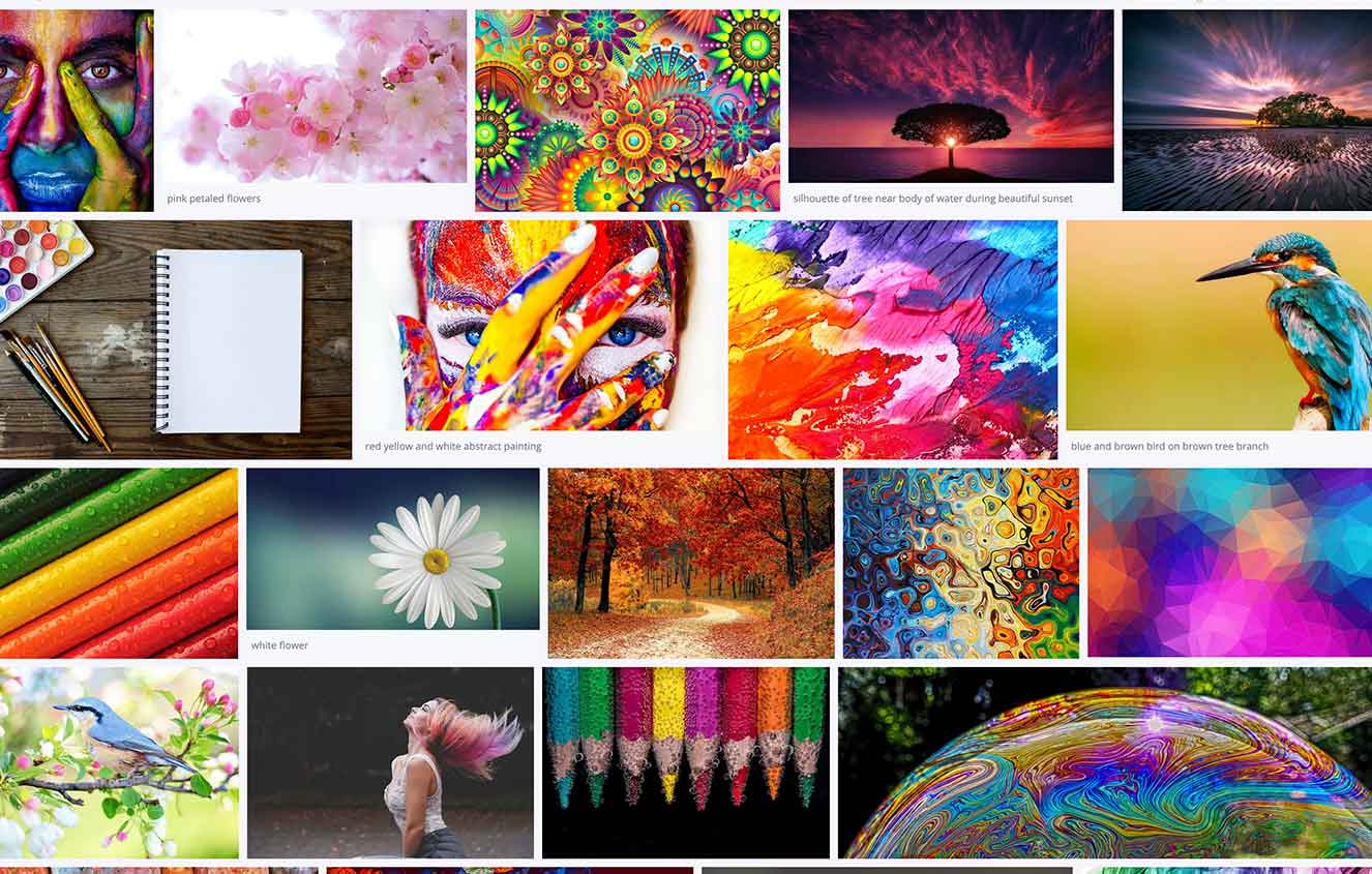 Colourful Social Media Guide 2020 Images