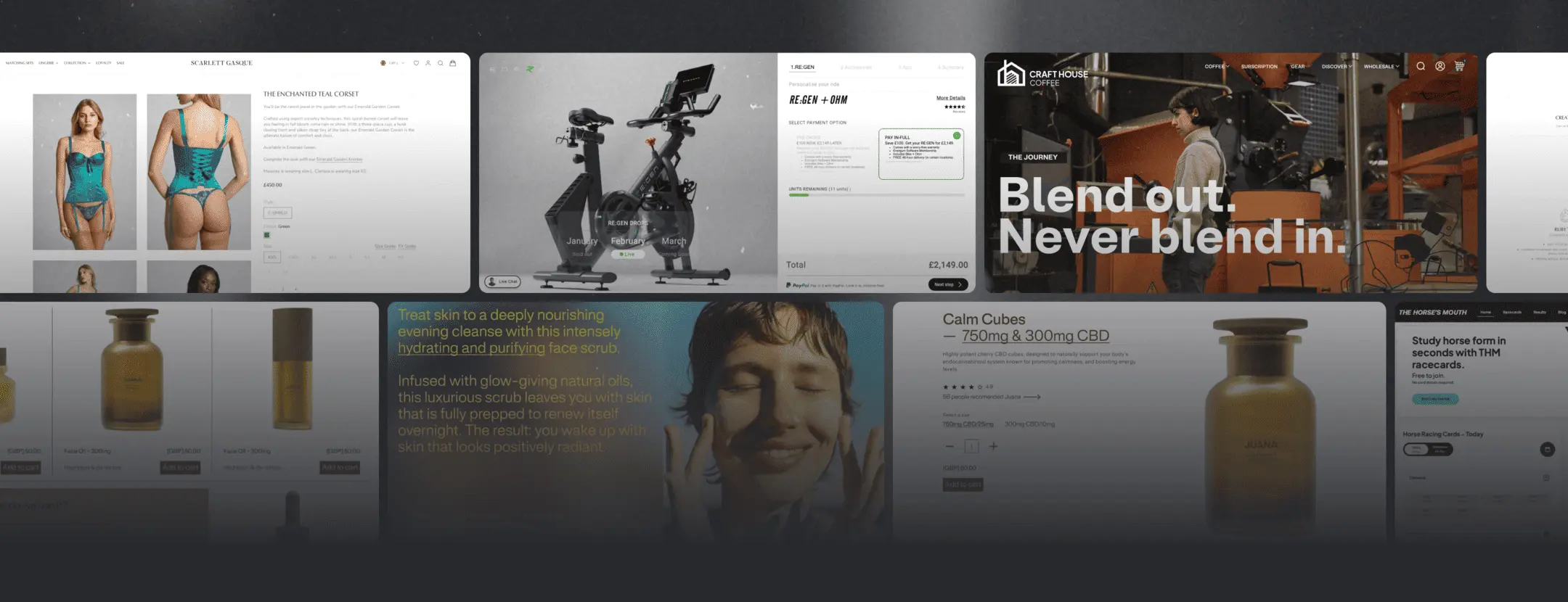 Shopify Web Design