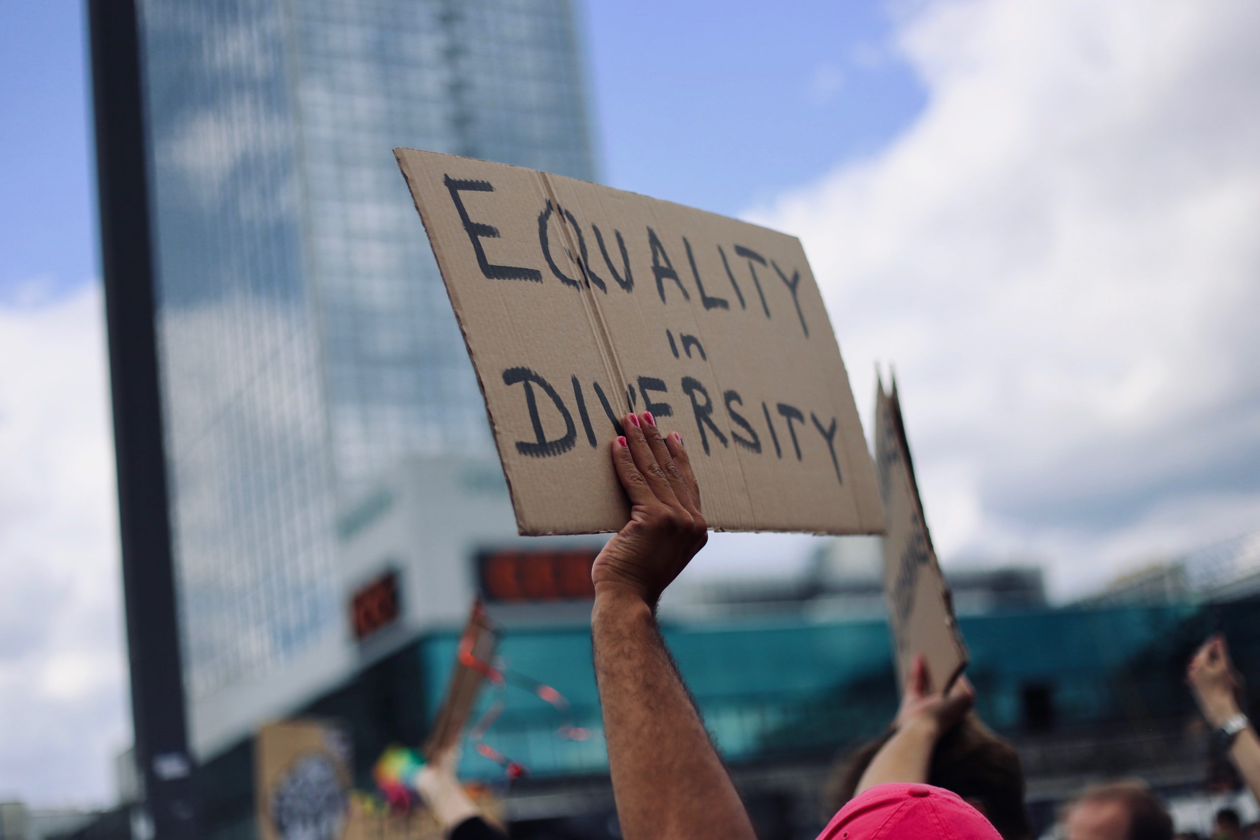 Person holding a sign in the air that reads "Equality in diversity"