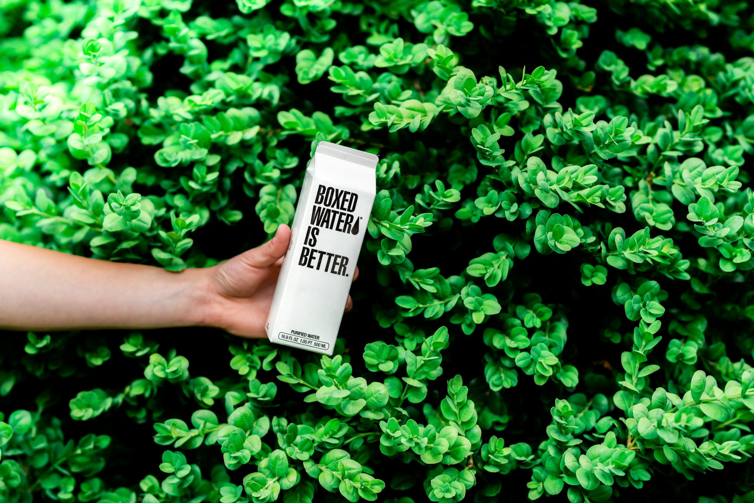 Eco-friendly branding for conscious customers