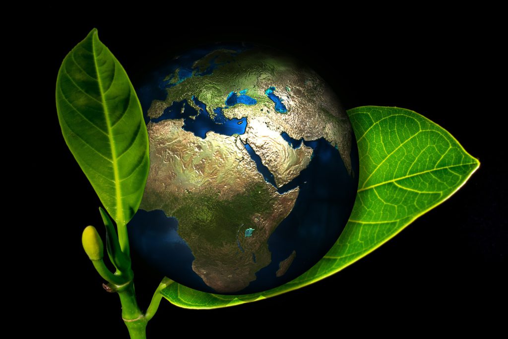 eco brand up to date
