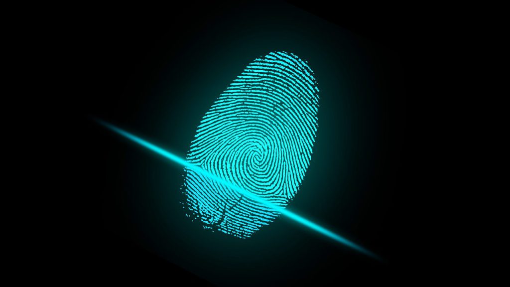 brand identity fingerprint