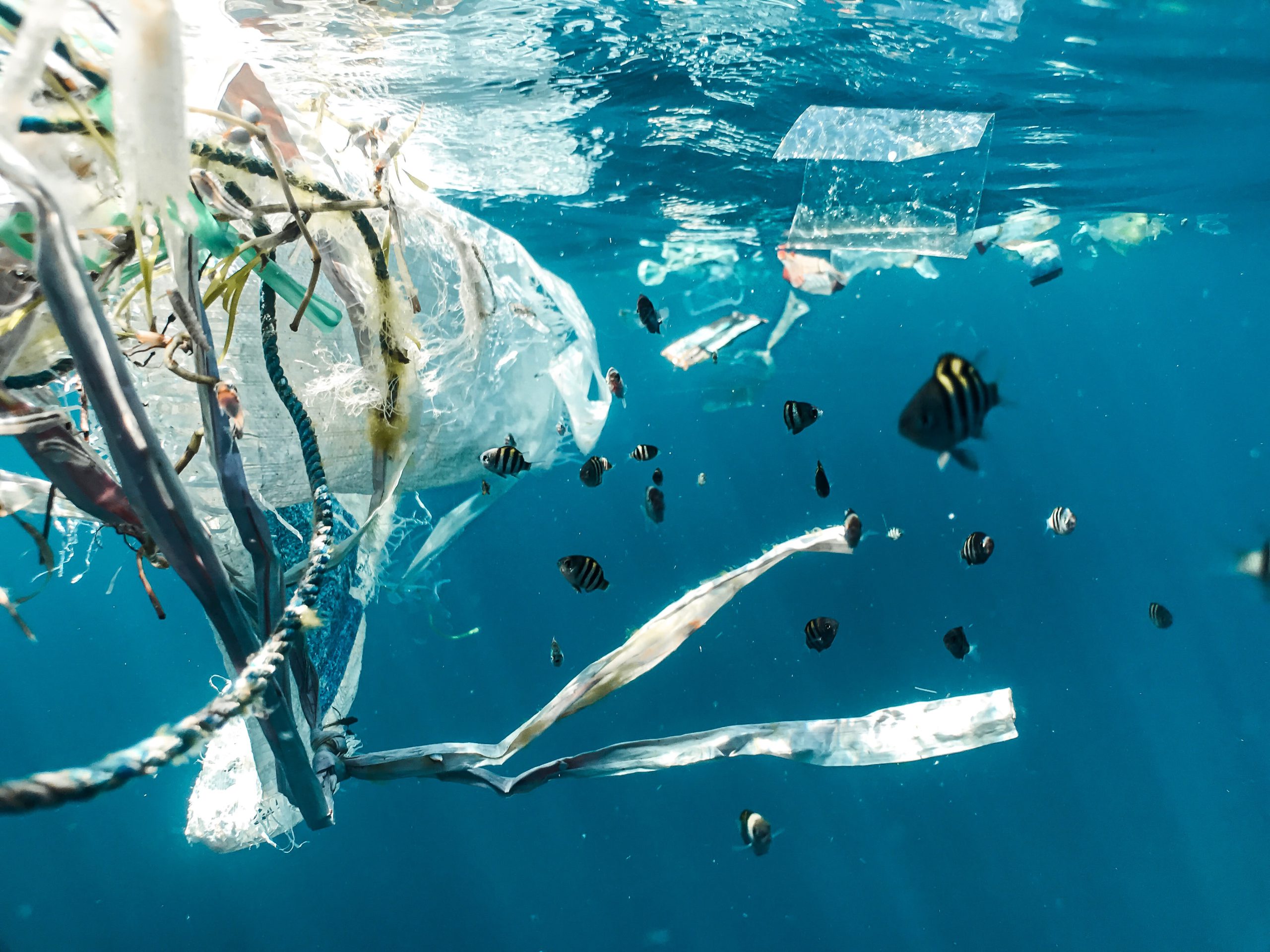 plastic packaging waste